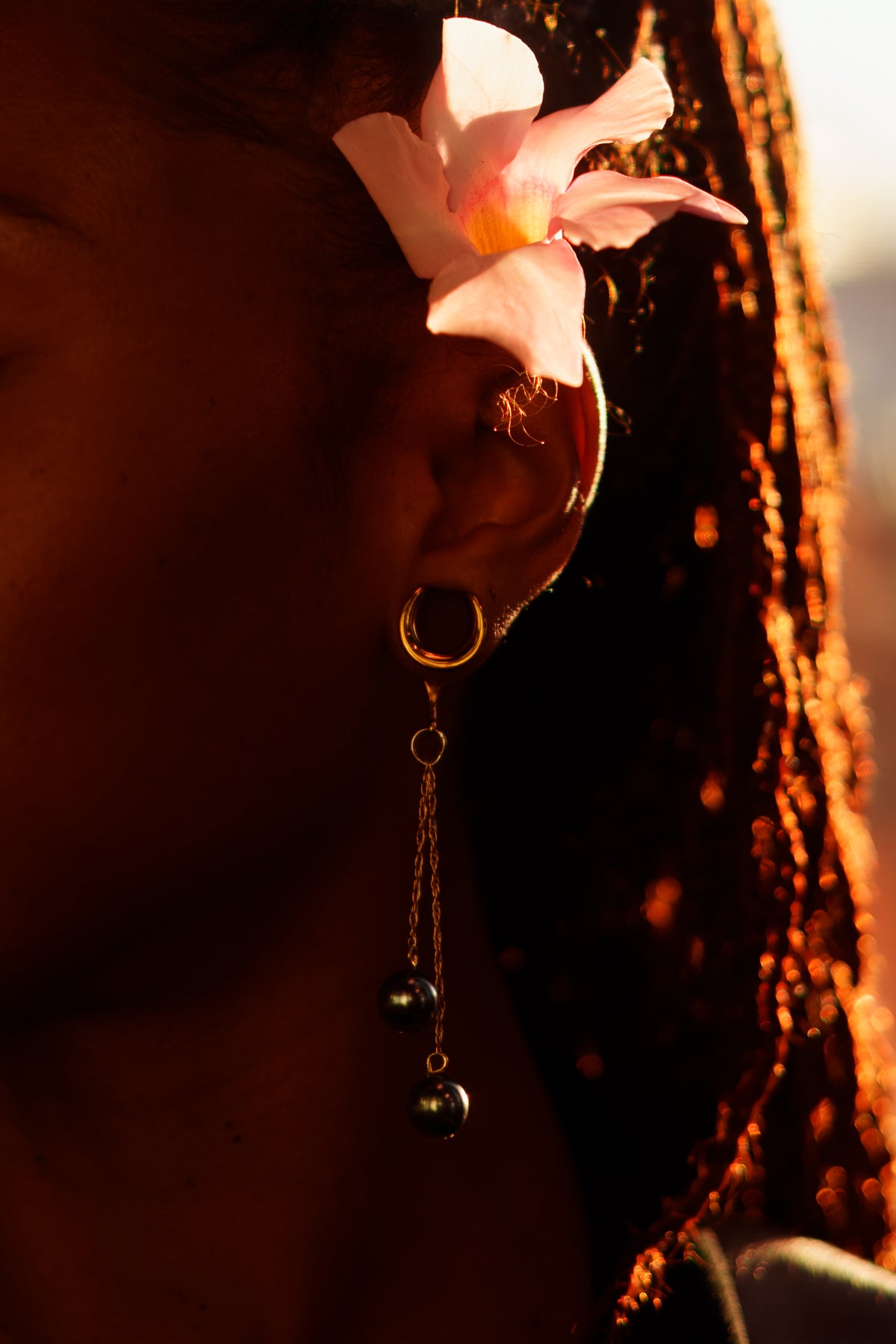 Perle Noire Plugs
