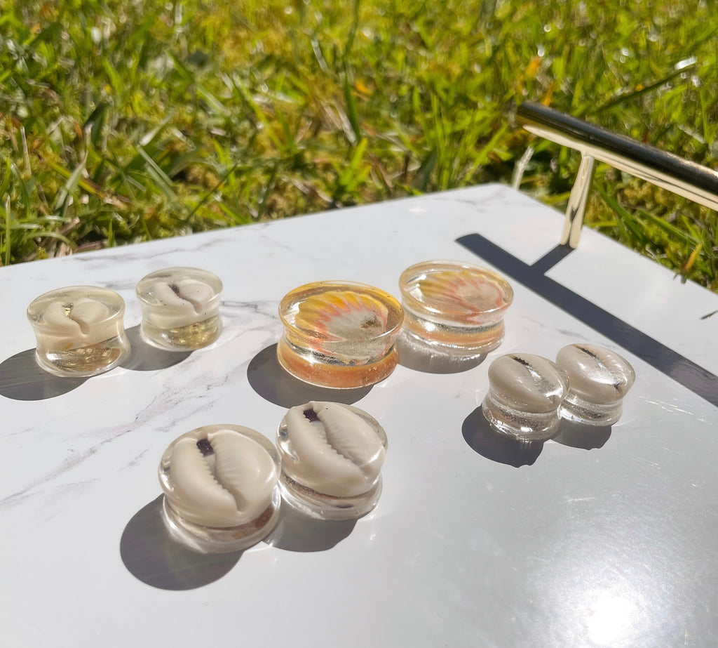 Resin Cowrie Plugs