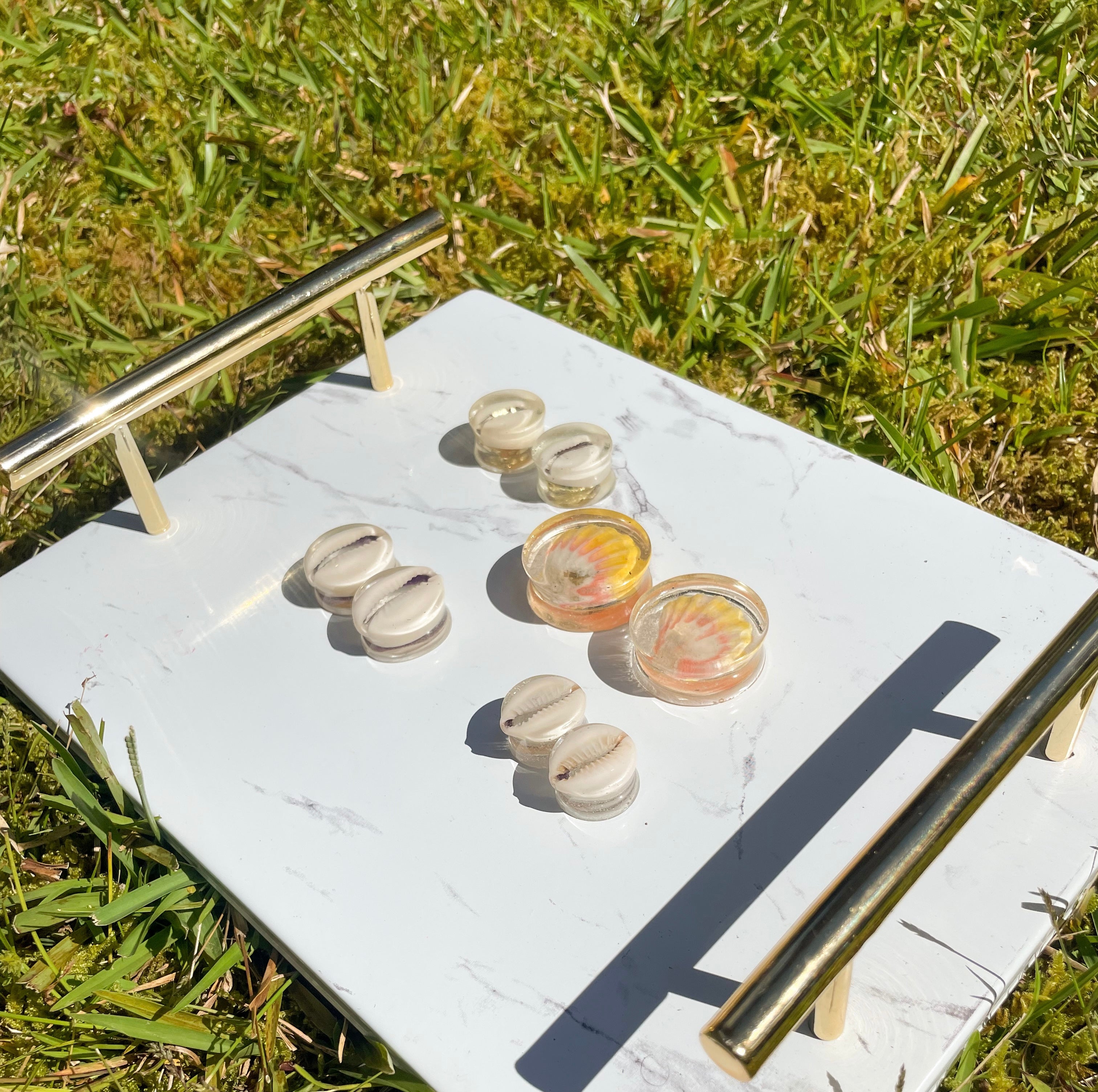 Resin Cowrie Plugs