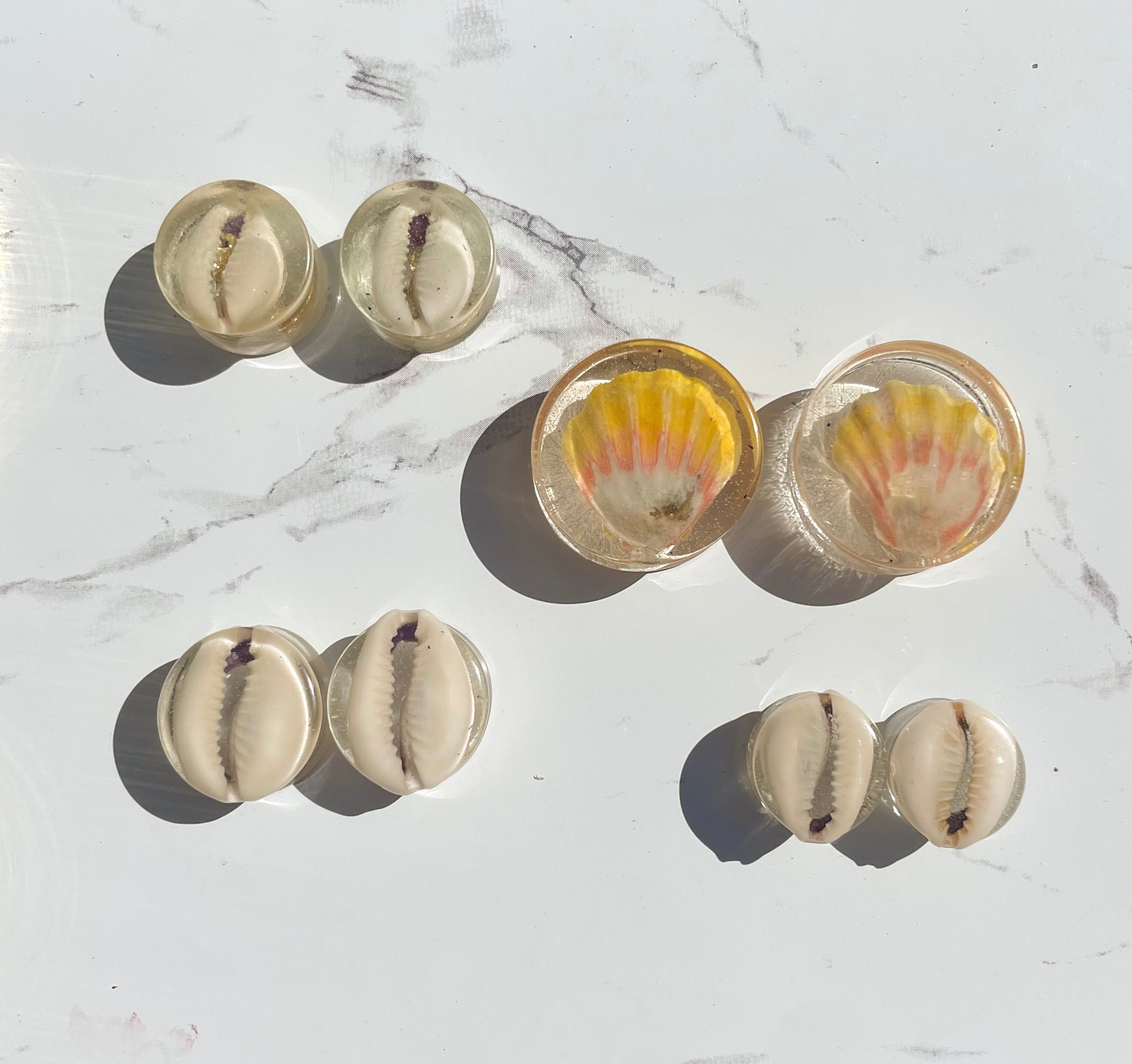 Resin Cowrie Plugs
