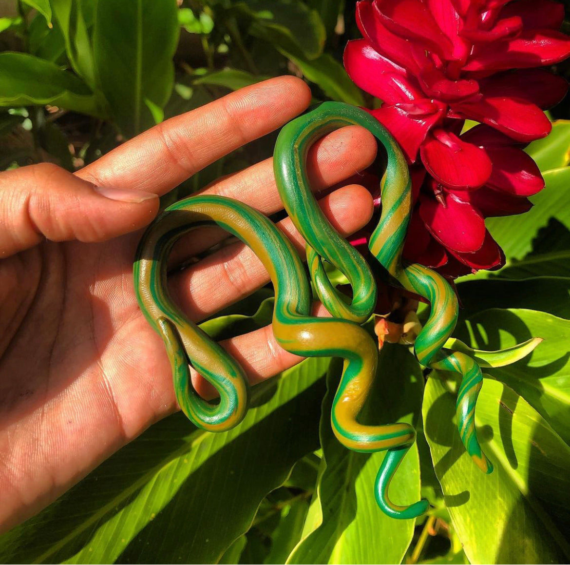 Medusa Gauges