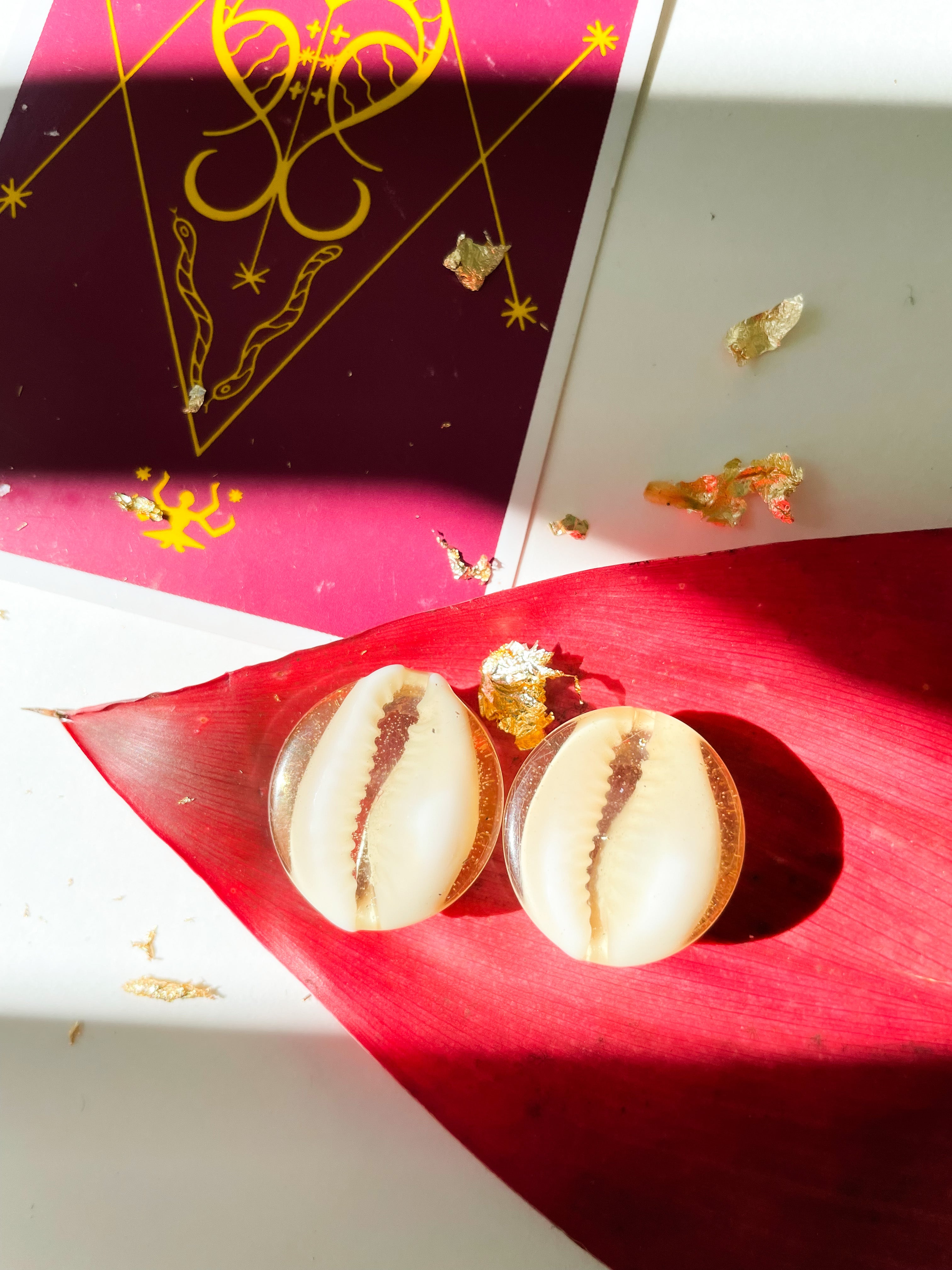 Resin Cowrie Plugs