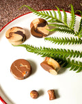 Koa Clay Plugs